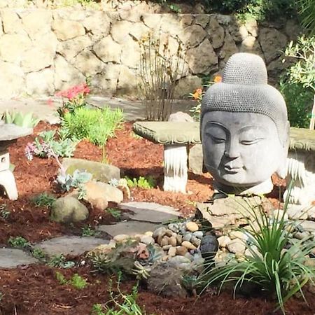 Serene Charming Private Suite Patio, Upscale 伯克利 外观 照片