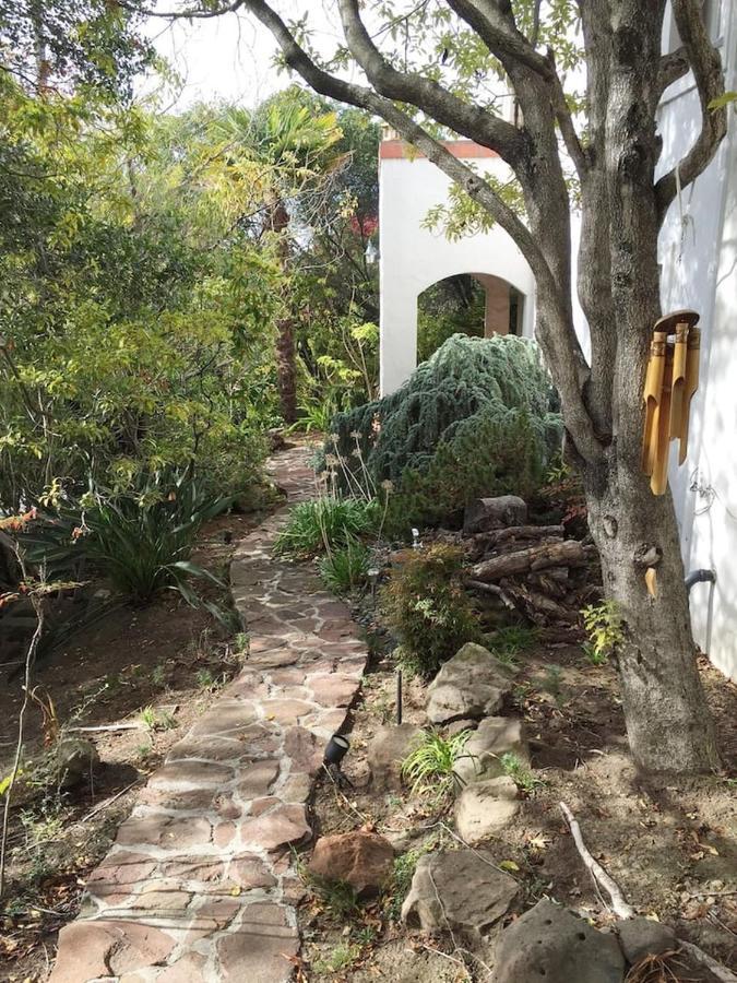 Serene Charming Private Suite Patio, Upscale 伯克利 外观 照片