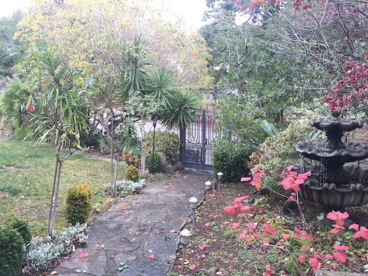 Serene Charming Private Suite Patio, Upscale 伯克利 外观 照片
